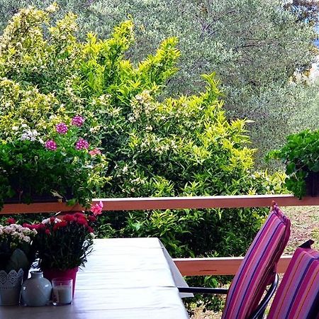 Apartman Rabatin Sveti Filip i Jakov Ngoại thất bức ảnh